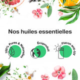 Huile Essentielle de Camomille Romaine, Noble - 100% Pure et Naturelle